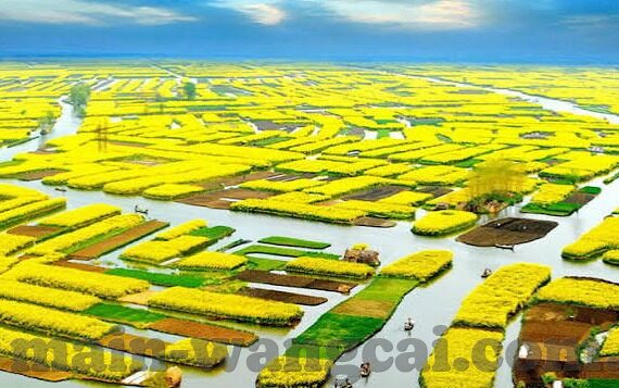 足球竞彩直播比分-足球竞彩直播比分，激情与策略的双重盛宴
